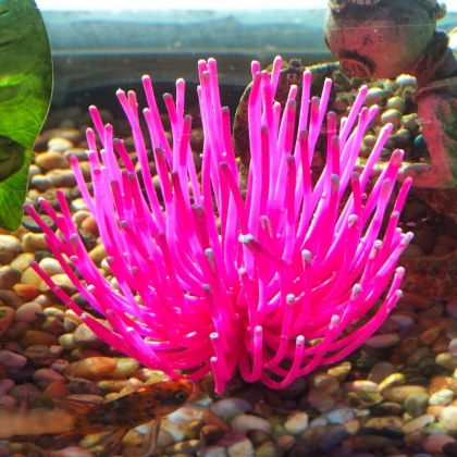 Aquatic Creations Aquarium Decor X-Large Anemone Pink